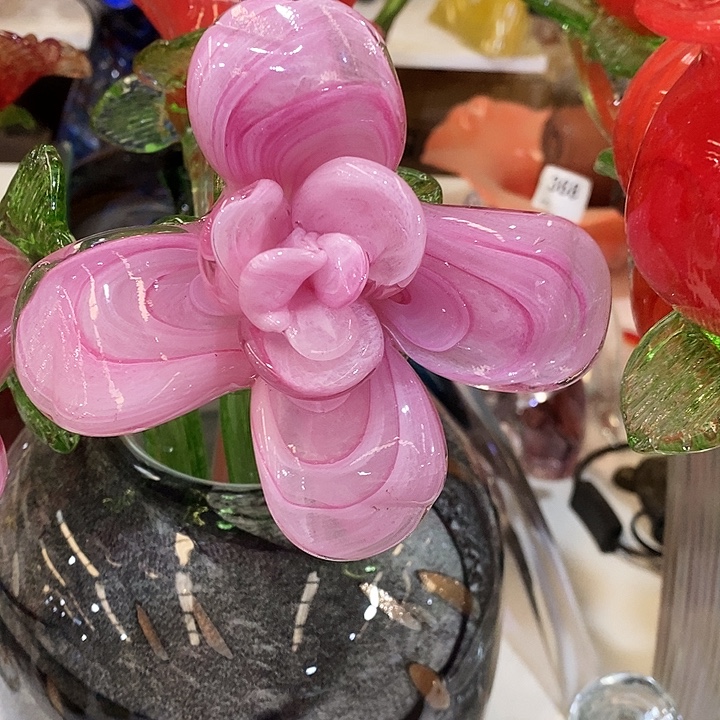 百合花高45厘米宽12