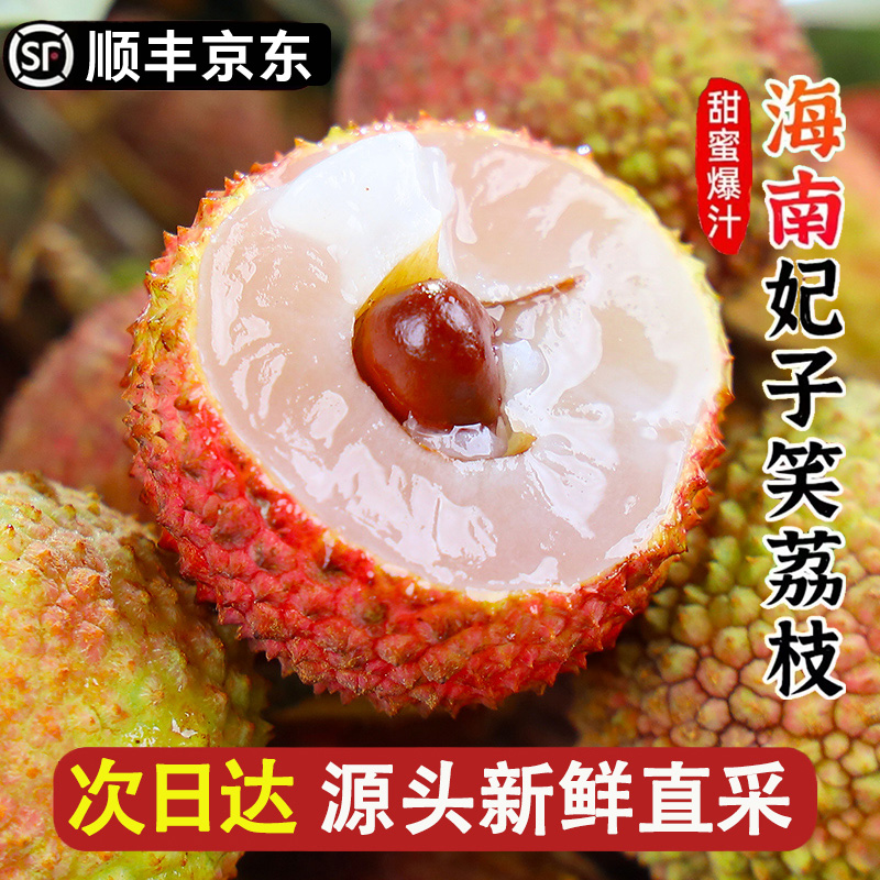 6-29现货【明日达顺丰京东】TY海南直采老树荔枝新鲜水果妃子笑2斤-4斤装荔枝同城送