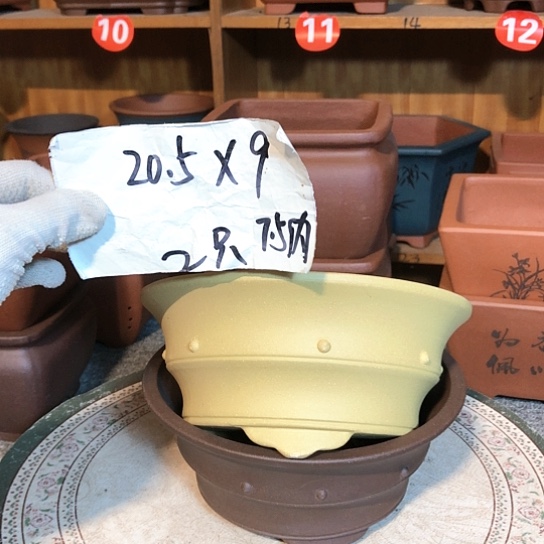 紫砂紫砂花盆紫砂花盆