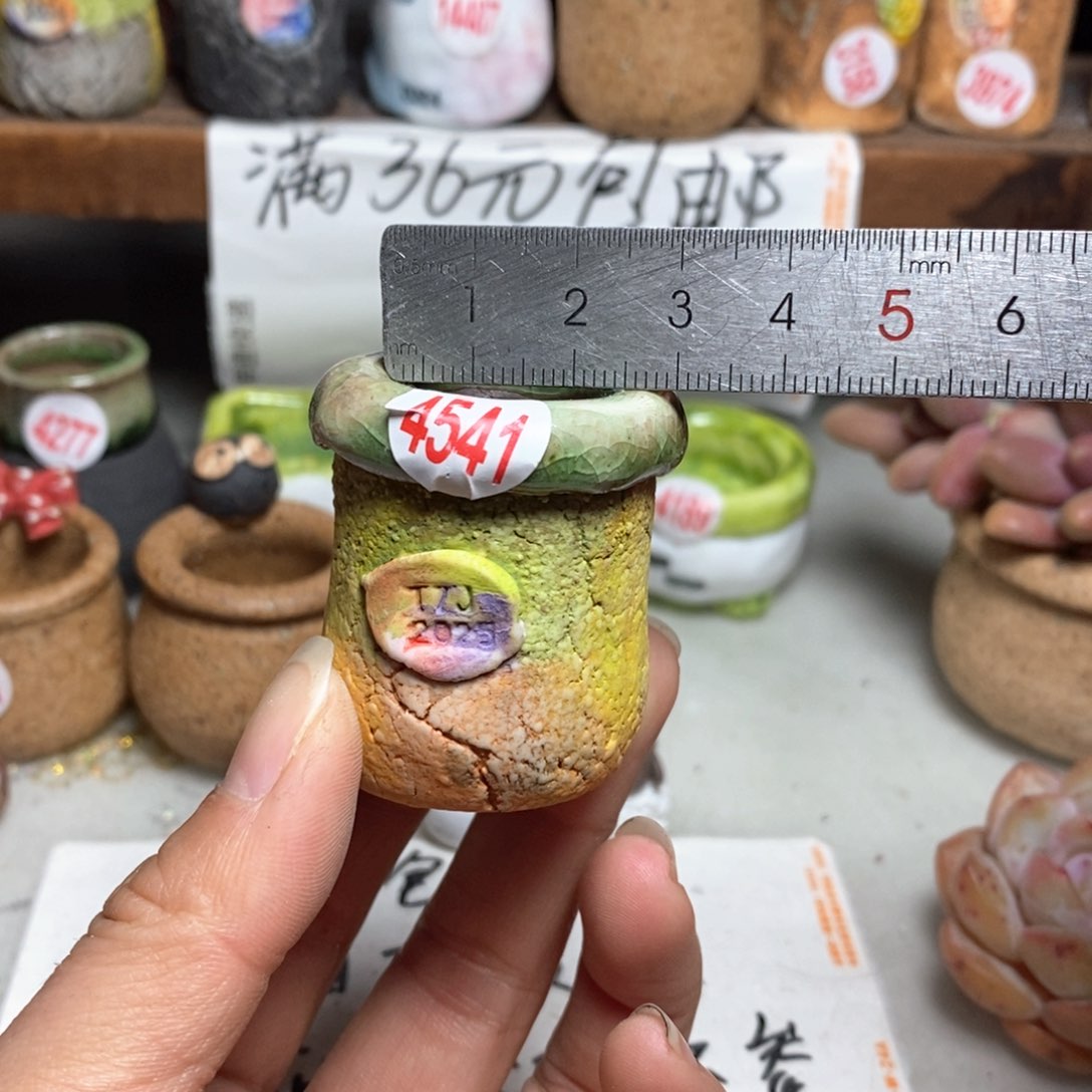 红陶拍5送一个小