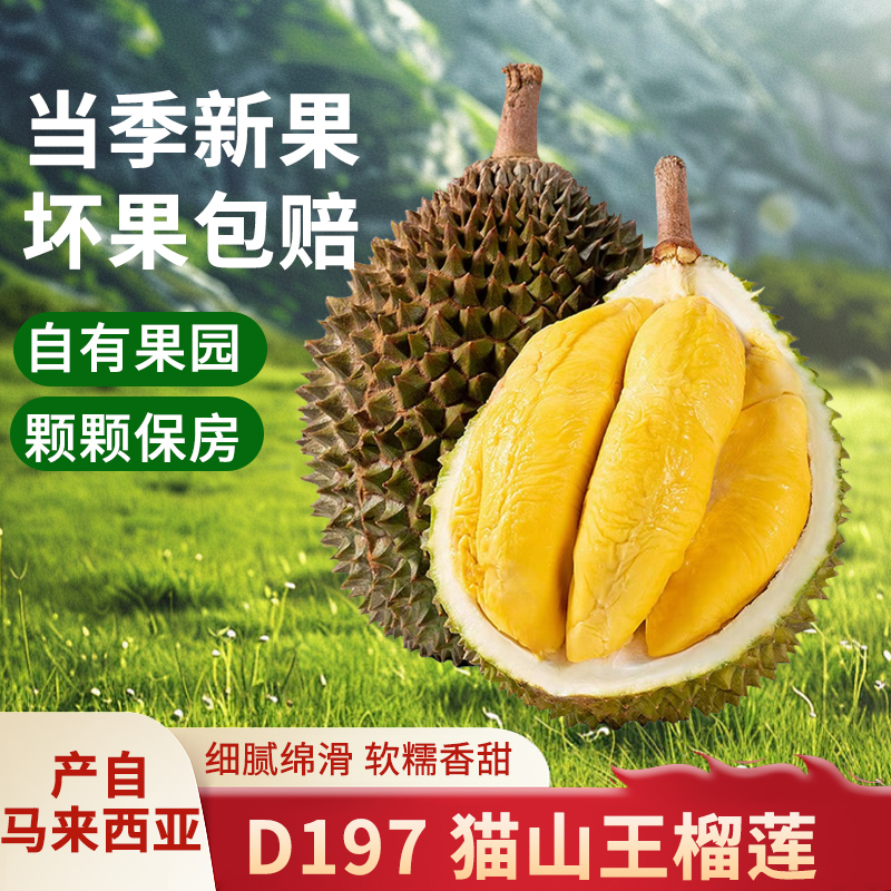 马来西亚带壳果园AA级猫山王中小果