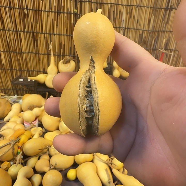 s***1天烈葫芦精品葫芦