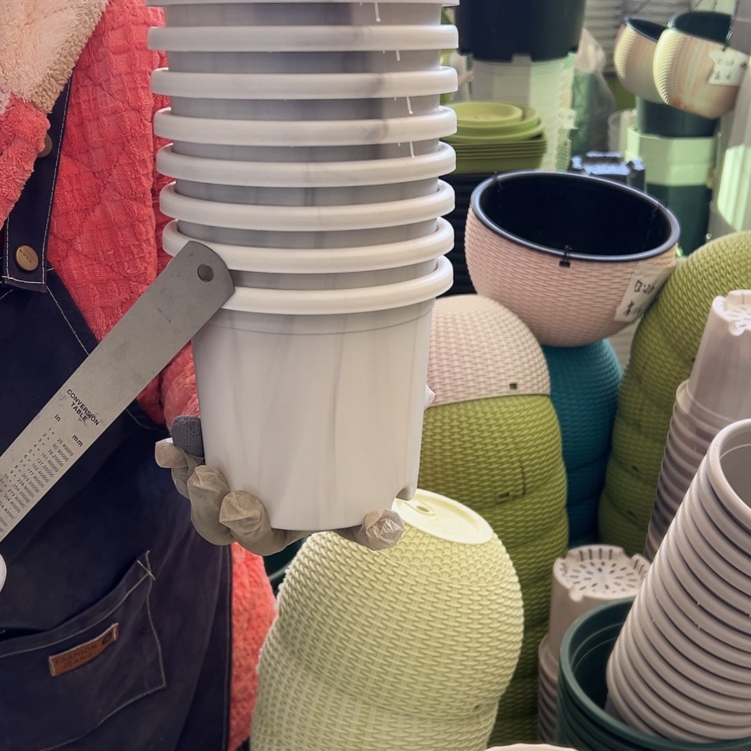 瑕疵四季盆1#白色12个无托