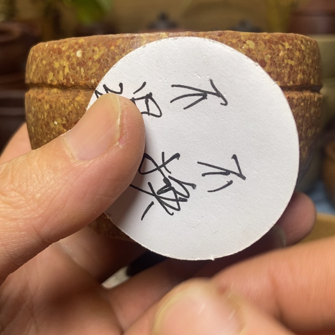 茶杯紫砂小*仙八目主人杯