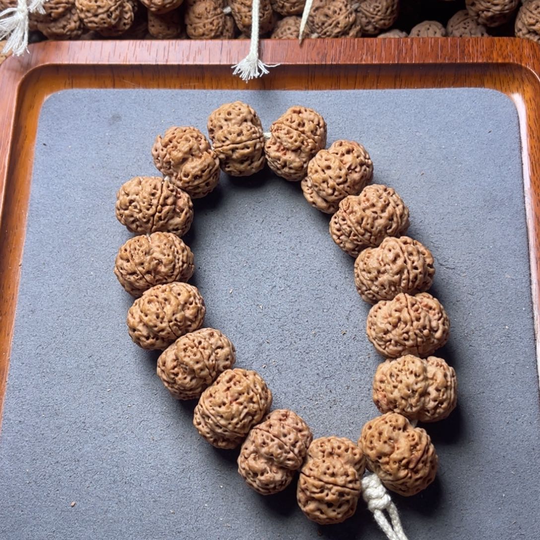 菩提籽类12号金刚菩提矮壮梅花23