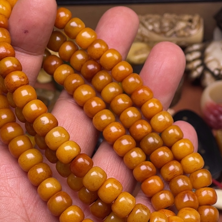 驼骨摆件人工养殖