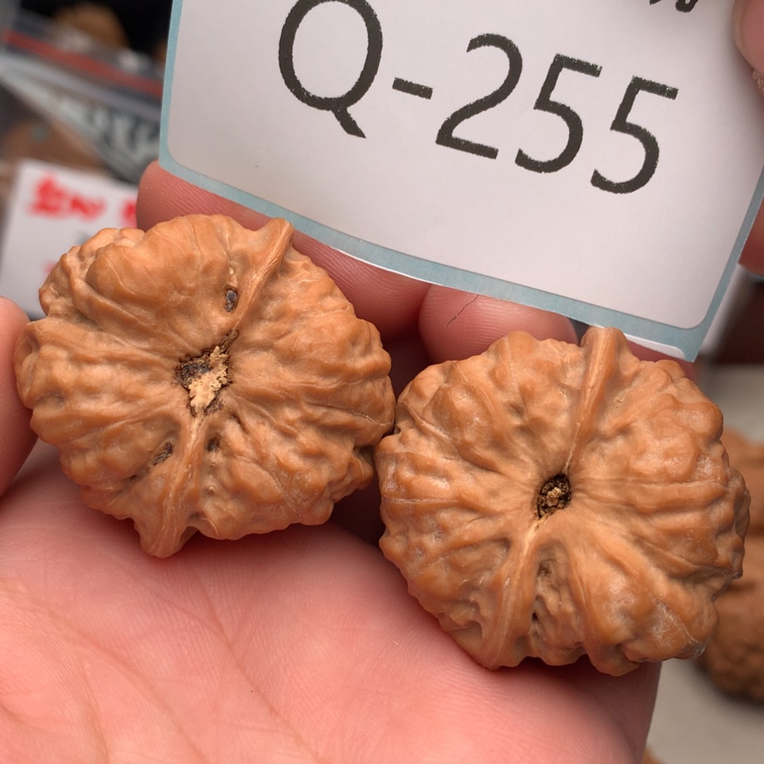 文玩核桃把件37蛙……..