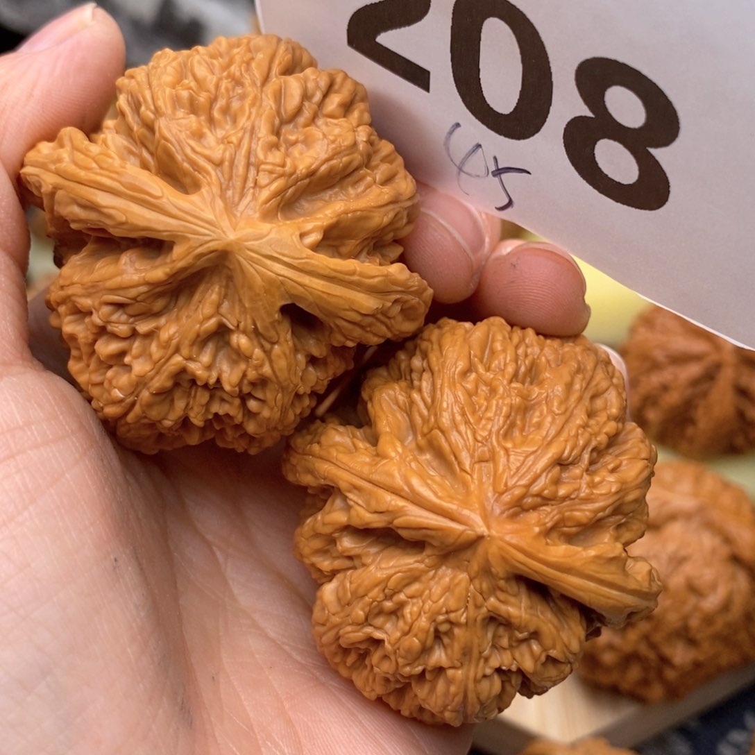 文玩核桃把件208号45粗筋