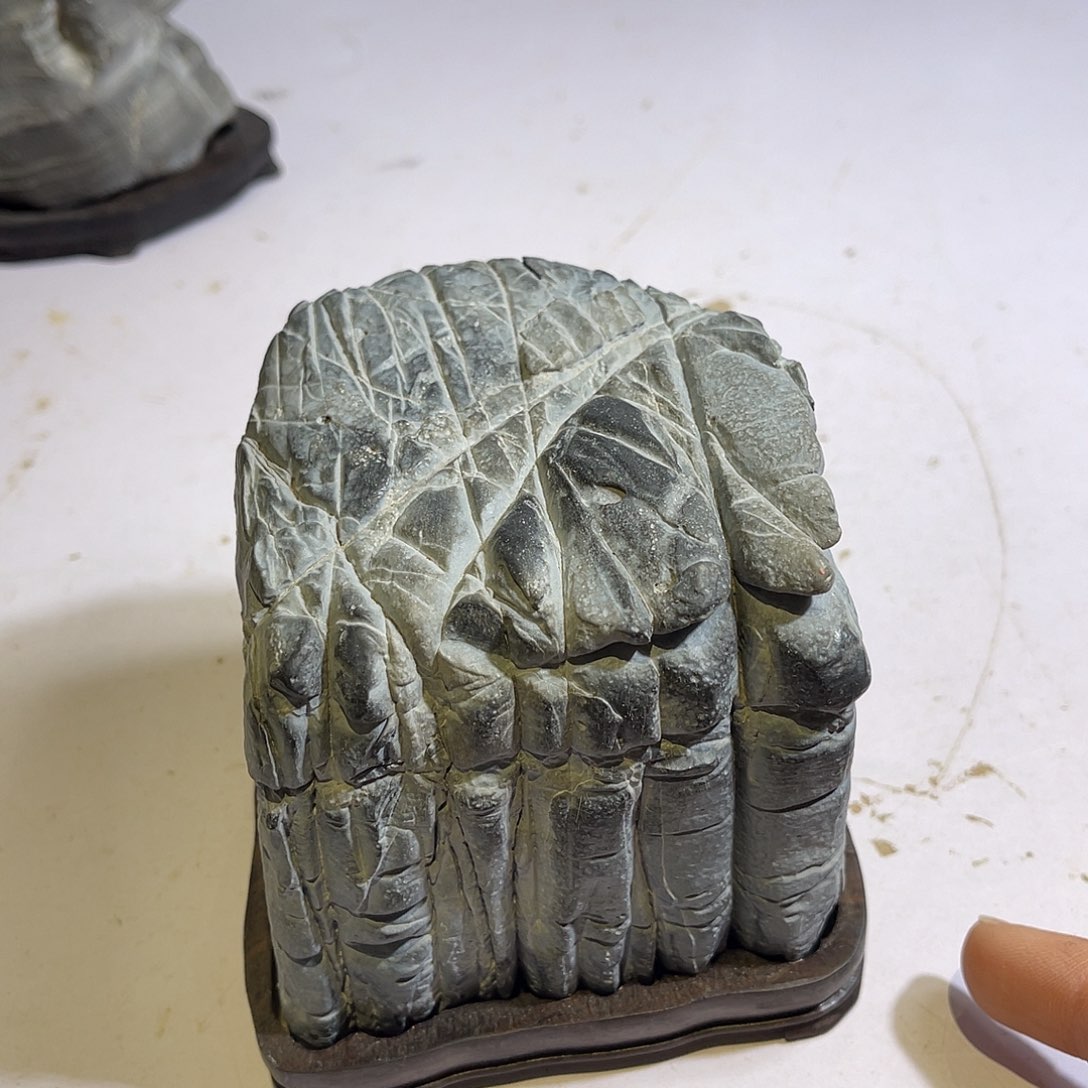 紫砂我们一起走巴走来吧