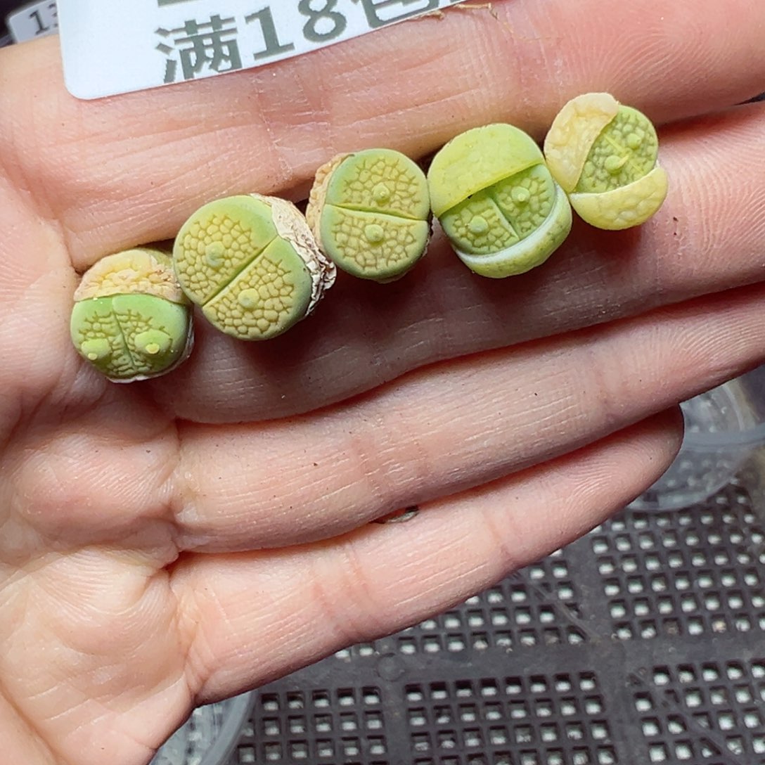 【闪购商品】1333……