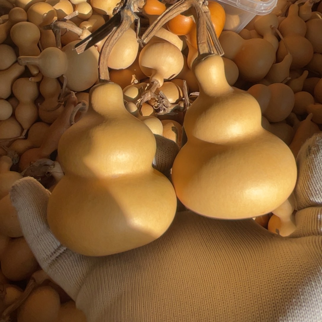 扇子ず***酒八宝葫芦，不退不换