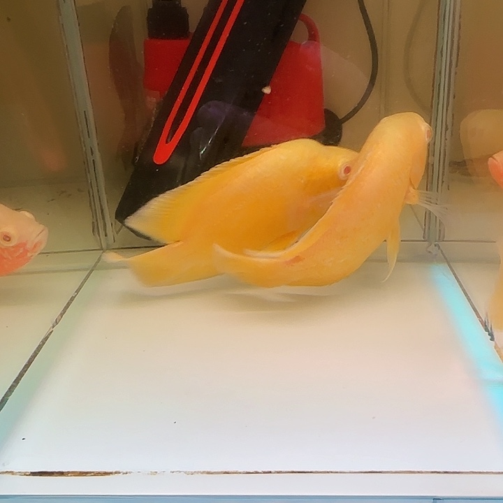 事***心海水啊啊啊啊啊啊啊啊