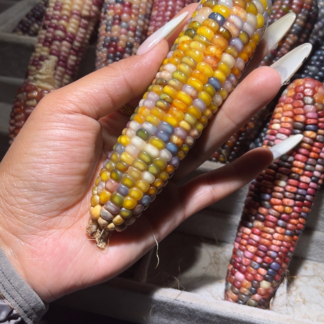 有机玻璃圆子393939