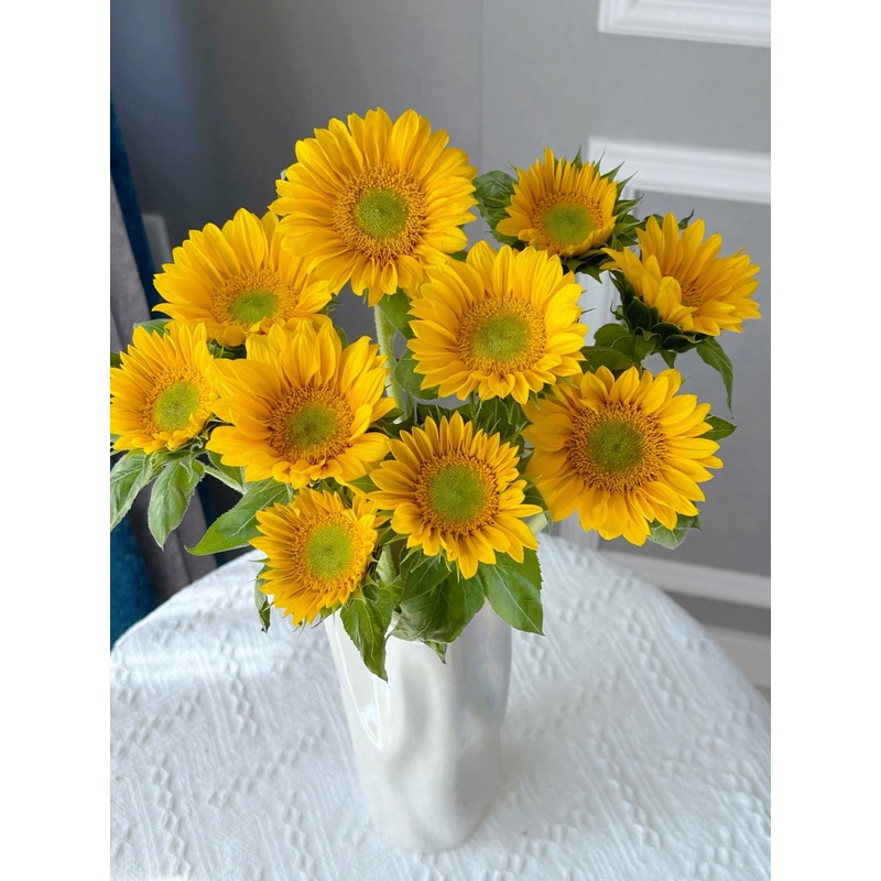 【大聪明卖花】绿心向日葵 云南鲜花 任意两单花材升级顺丰或德邦