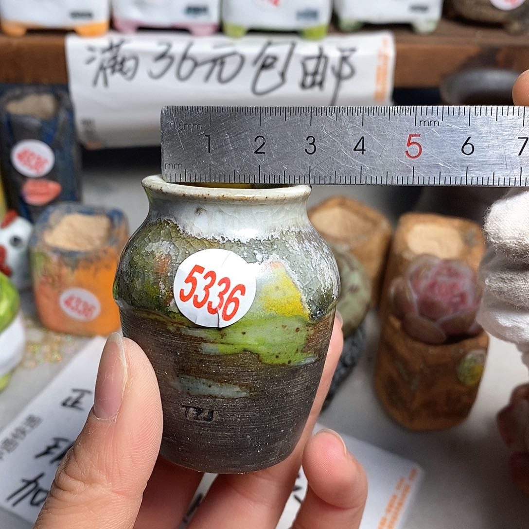 红陶拍5送一个小