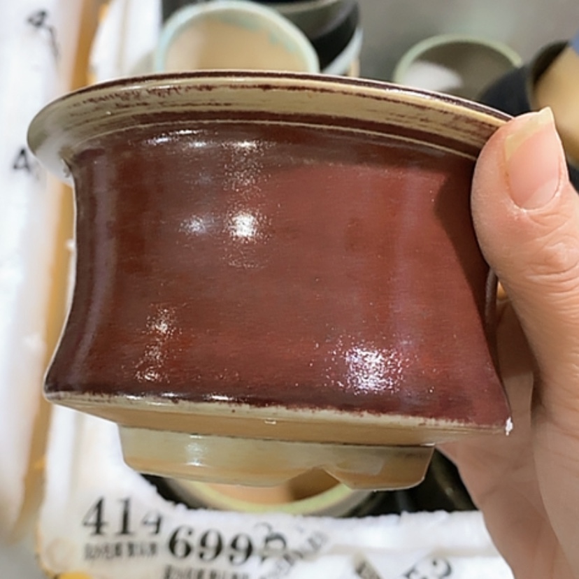 【闪购商品】红陶口9.5