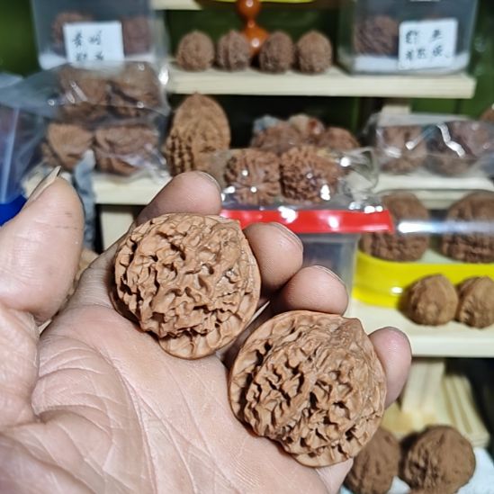 继***走42加尺寸，一代灯笼狮子头