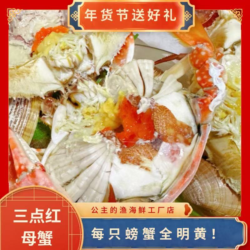 大连本地三点红母飞蟹【2斤起拍】有断臂【保鲜不保活】3-5两左右/只