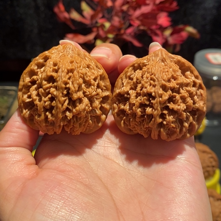 文玩核桃44尺满天星