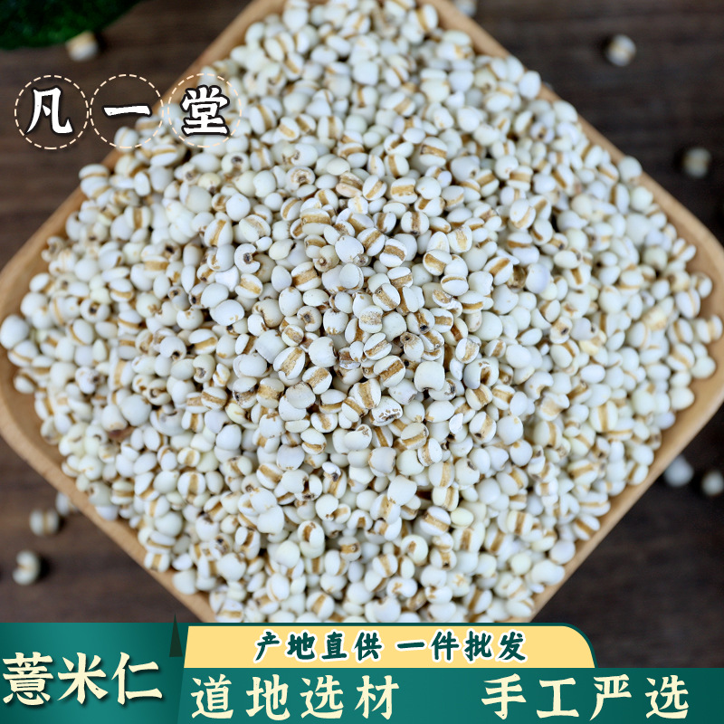 小薏米  小粒薏米薏苡仁米薏米仁 