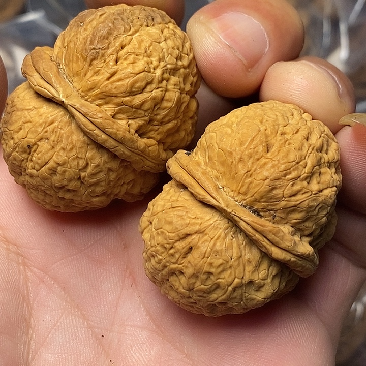 把件文玩核桃云南铁核桃20