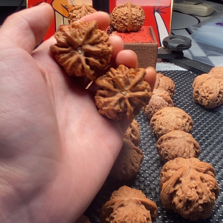 逐***梦文玩核桃精品对正奔
