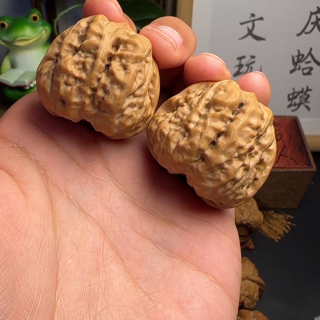 大****38尺✖️40蛤蟆头11