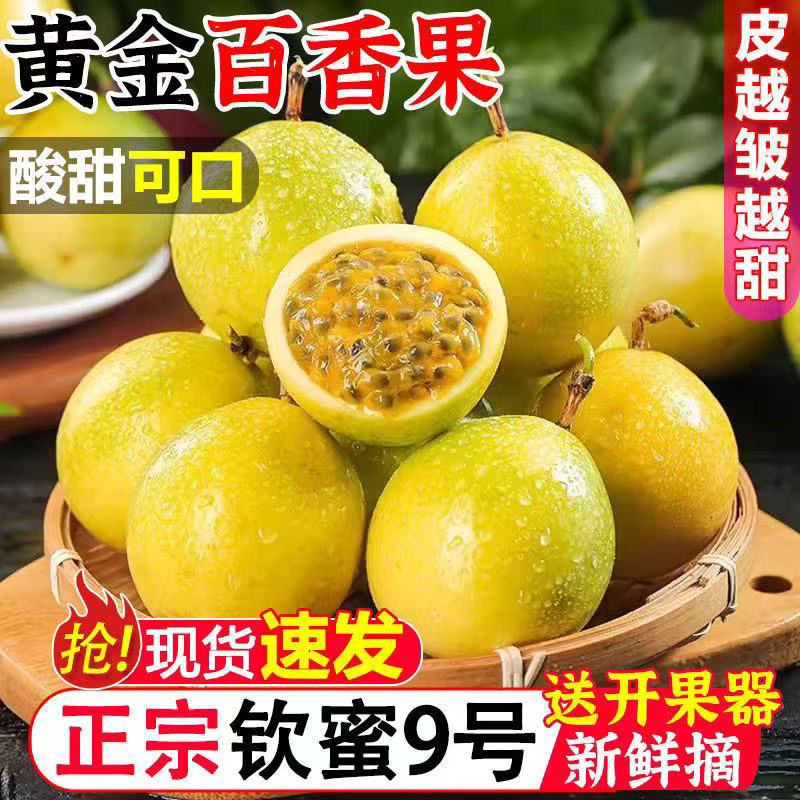 【现摘速发】钦蜜九号黄金百香果当季新鲜水果酸甜多汁丨皱皮更甜Z2