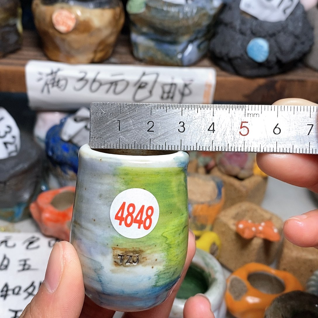 红陶拍5送一个小