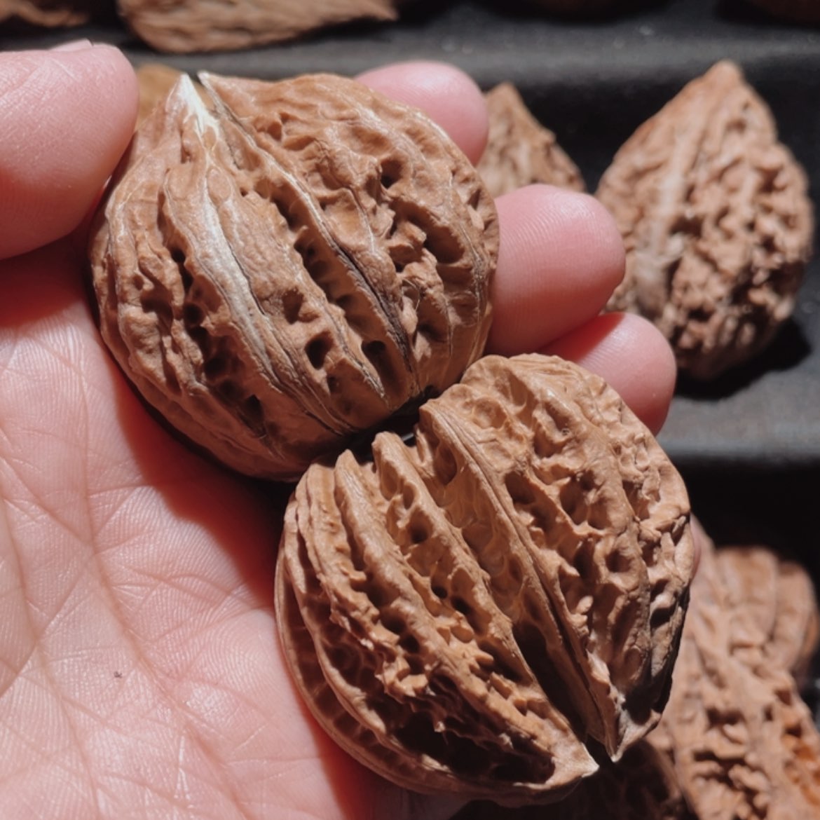 【闪购商品】文玩核桃把件东北楸子4