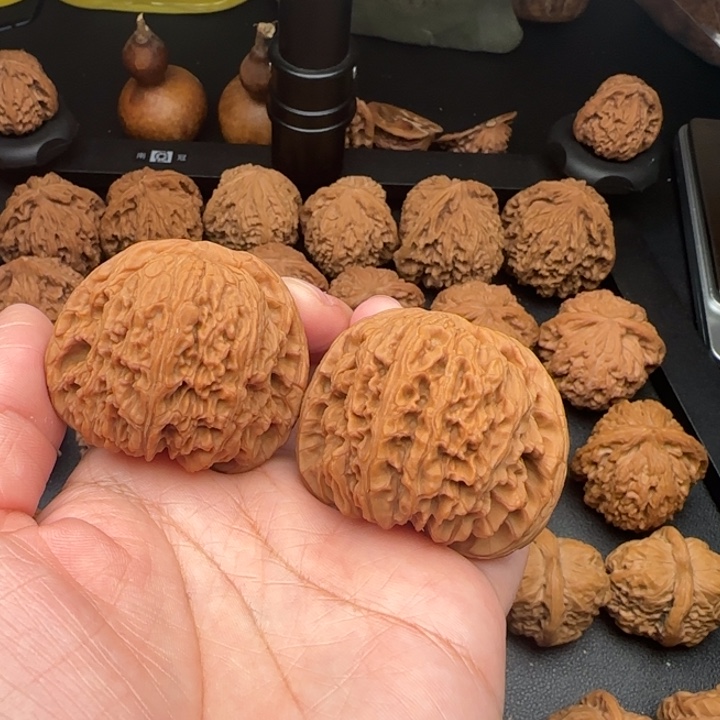 47尺微黄尖大南疆