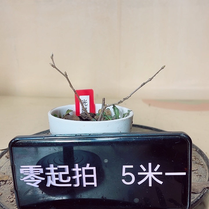 客***客无花朵哈哈哈哈哈
