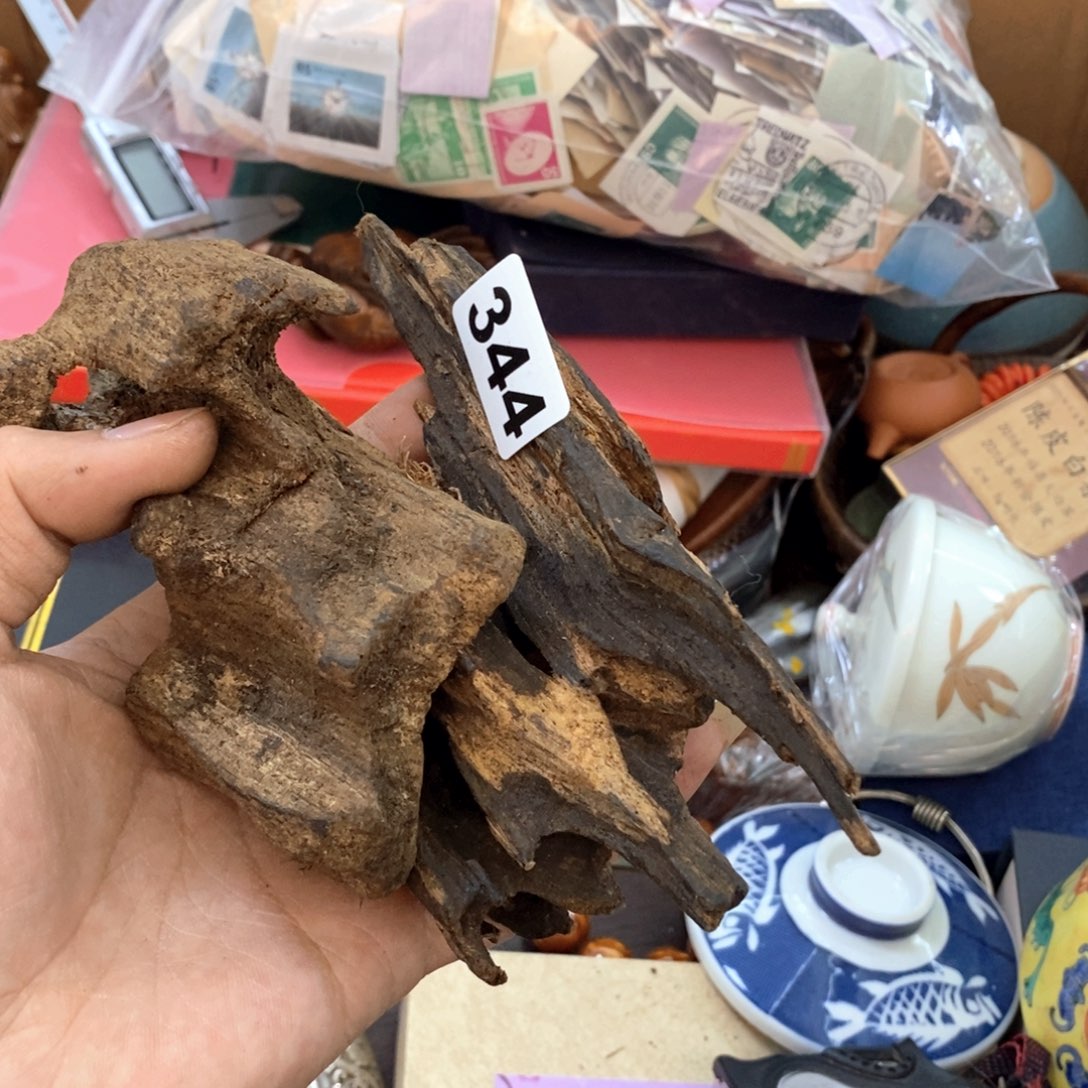 瓷片新号开播福利多多