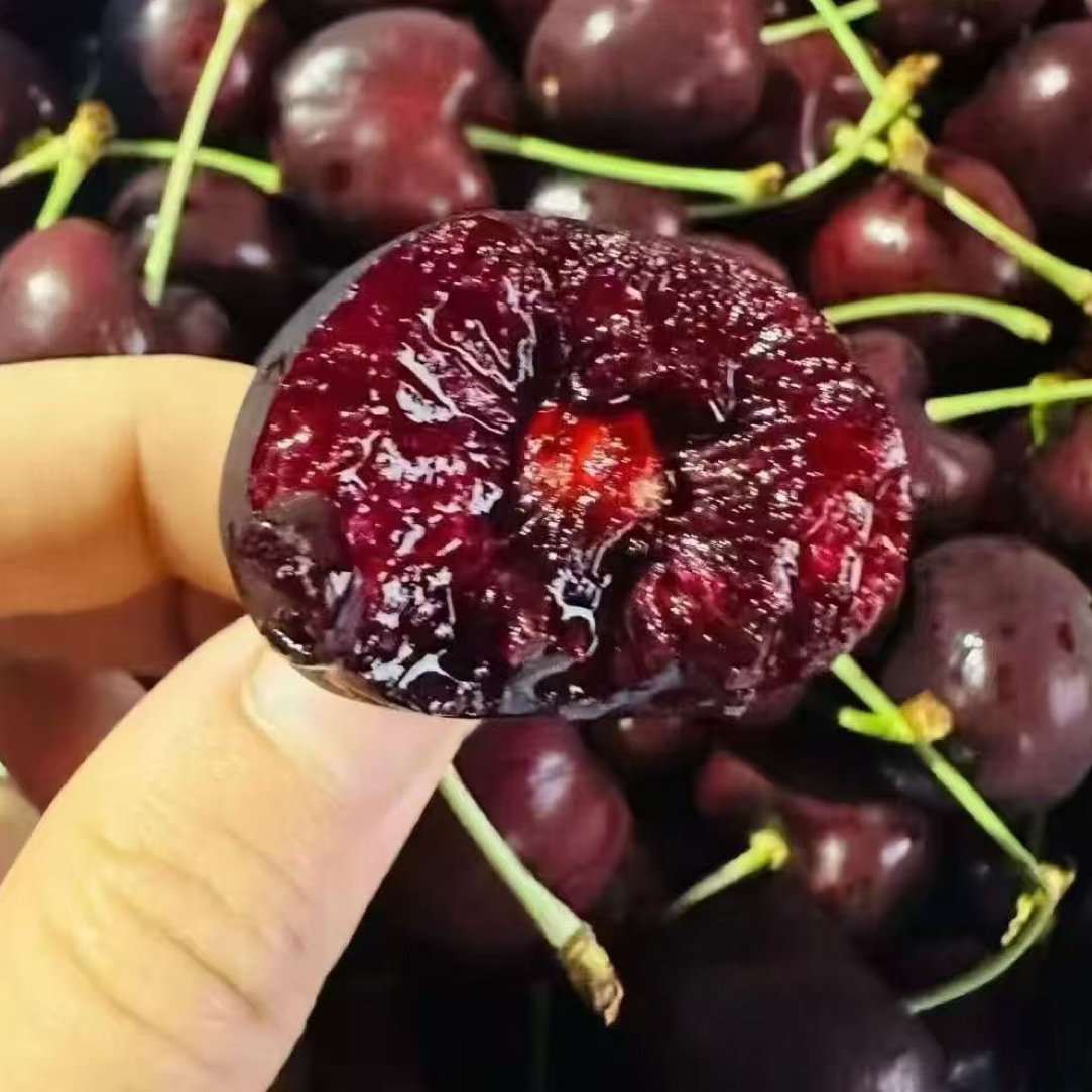 智利海运进口车厘子 3JD 五斤装新鲜应季水果内附果径卡智利