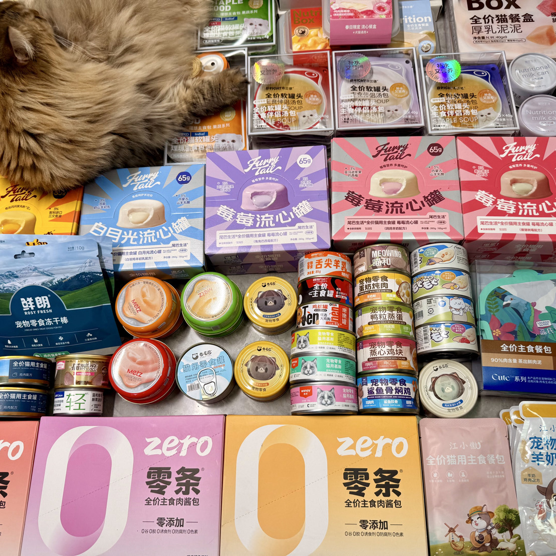 【直播版】猫咪零食随心配！！！