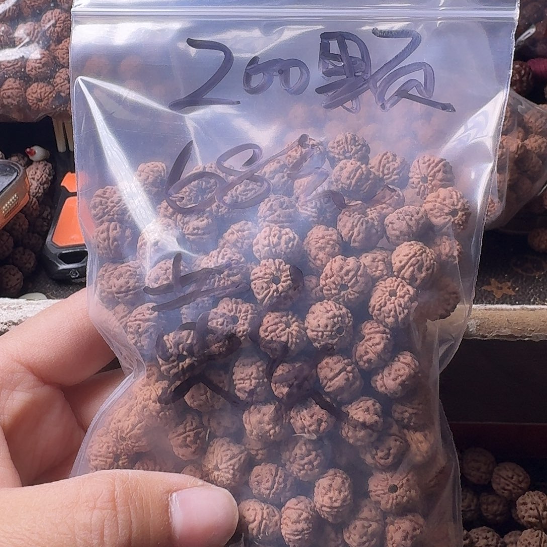 半***多吊坠金刚菩提200颗黄头有瑕疵
