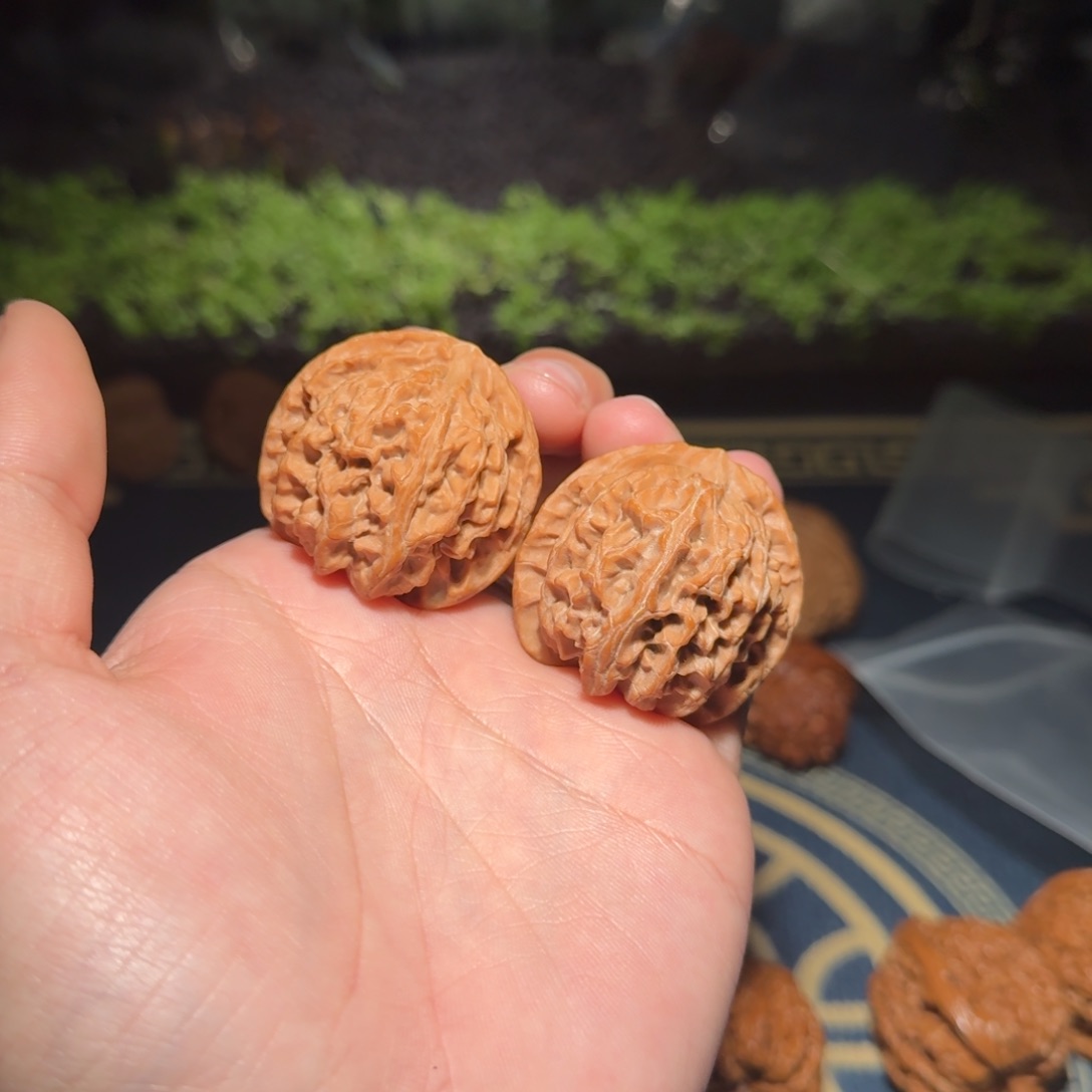 076号39苹果园苹果园苹果园