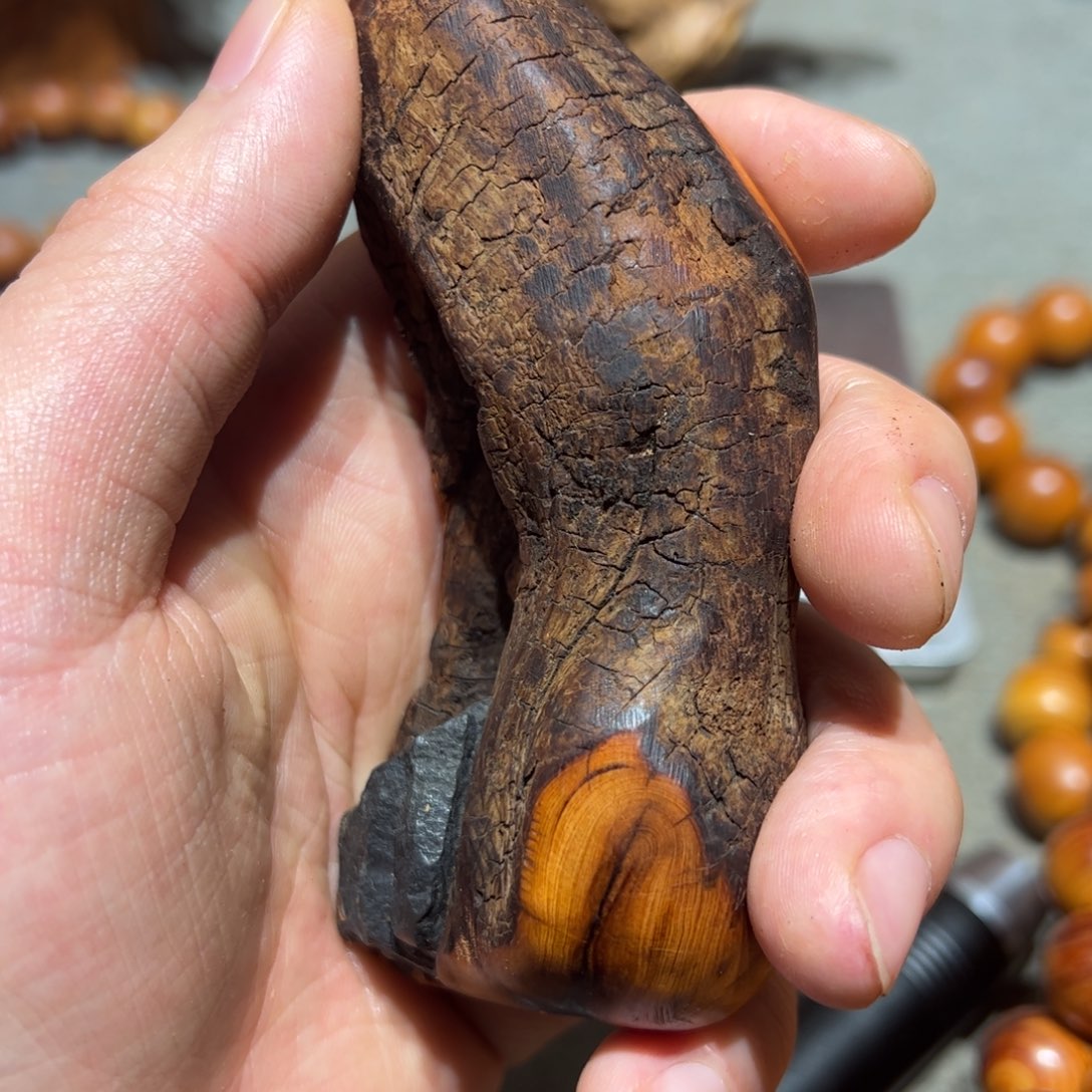 柏木（崖柏）北太行陈化崖柏