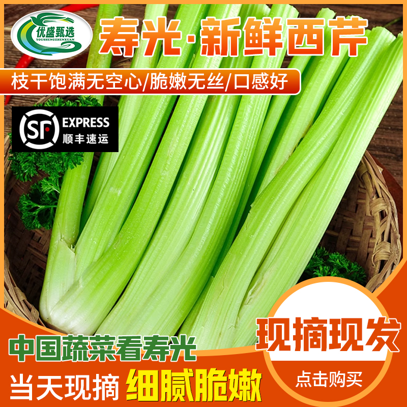（顺丰包邮）水果西芹榨汁专用现摘现发清脆可口嘎嘣脆山东寿光芹菜