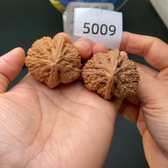 把件文玩核桃懂*37蚂蚁沟5009