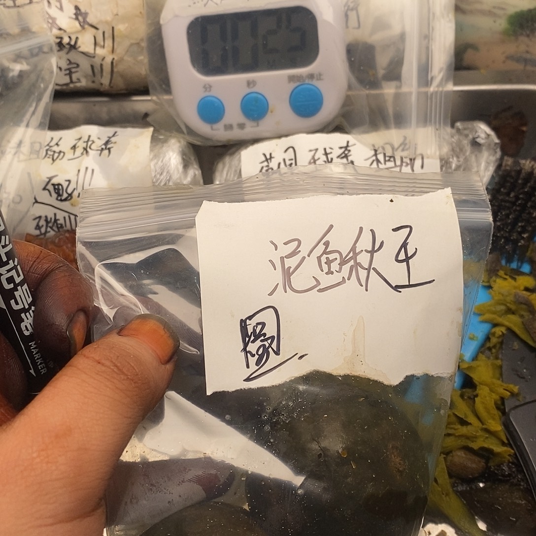 南***队滚你家那边北京黄金经济