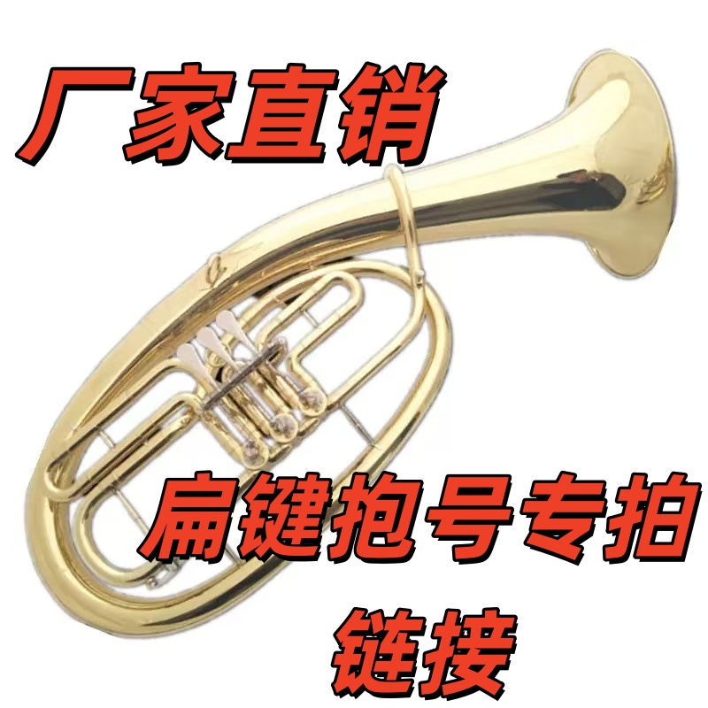 三扁键 四扁键 降B调抱号乐器黄铜 磷铜 初学考级乐团学校