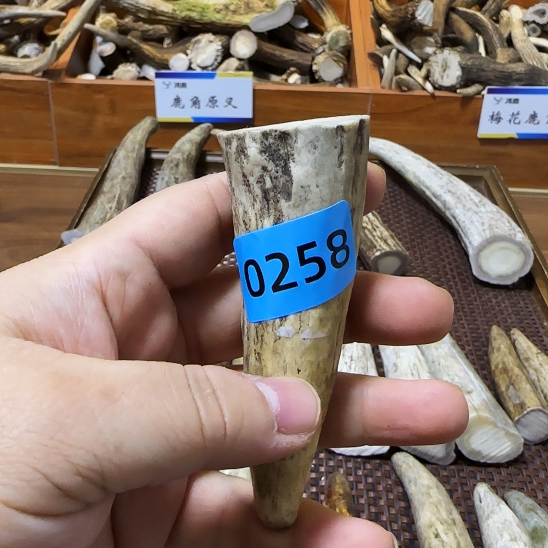 手串/手链鹿骨角尖0258