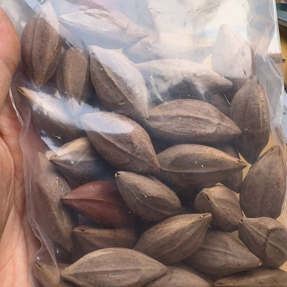 若***极橄榄核手串/手链1