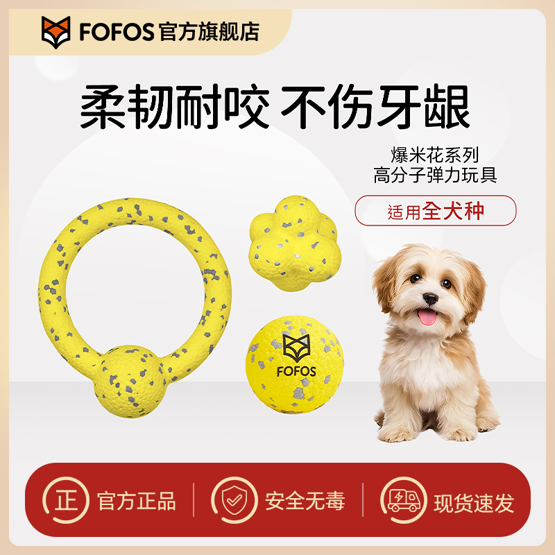 FOFOS两只福狸 狗玩具不规则弹力球耐咬户外训练弹跳玩耍超萌好物