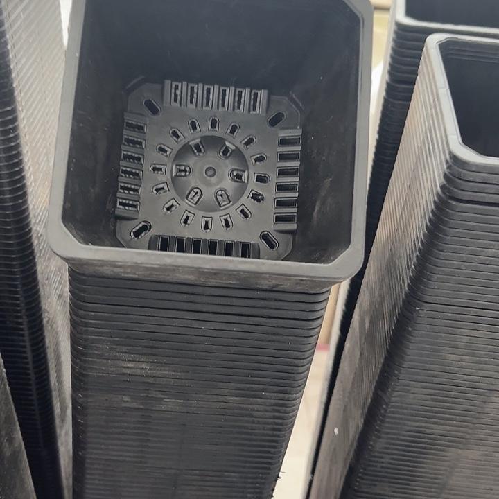 120黑方盆11公分高8公分30个