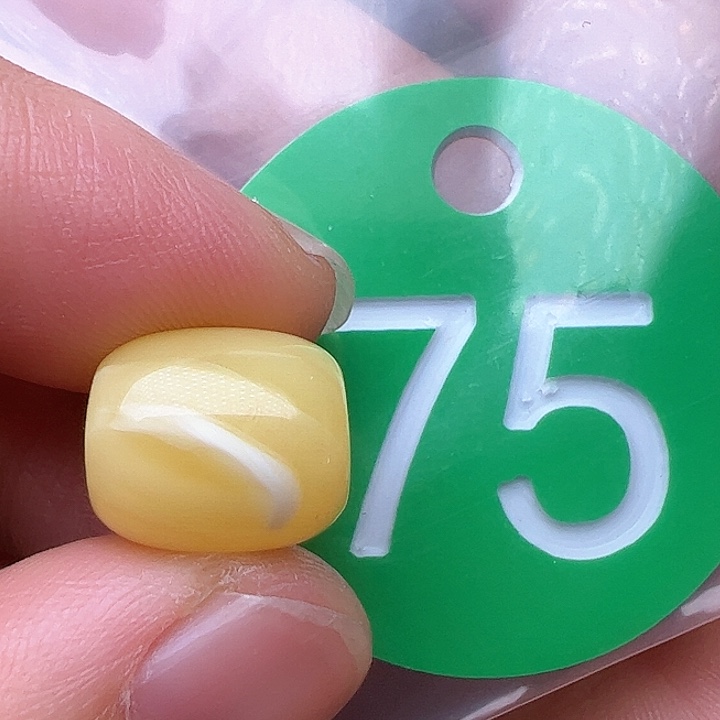 蜜蜡裸石未镶嵌10.6/12m m