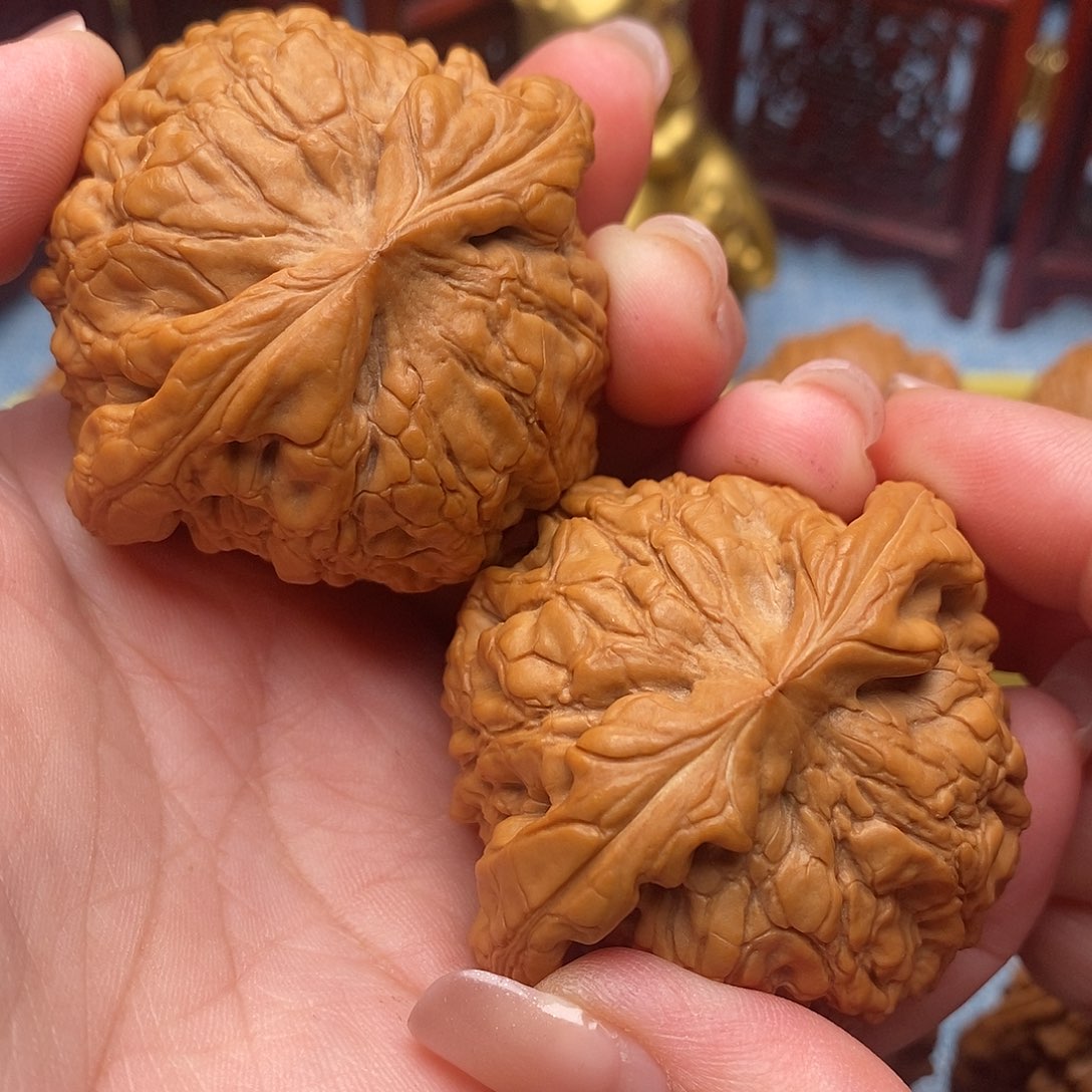 文玩核桃把件53.5全品绝配龙鼎