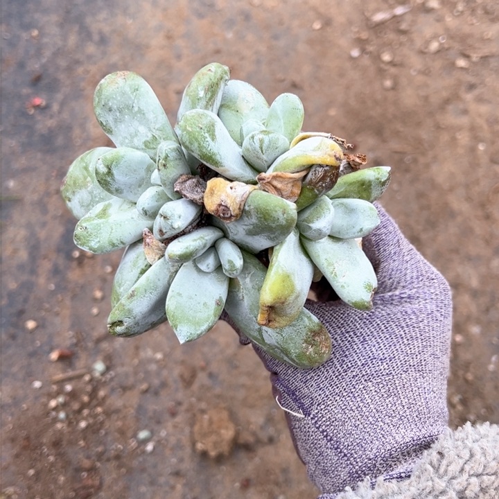 913哈哈哈哈哈哈哈哈