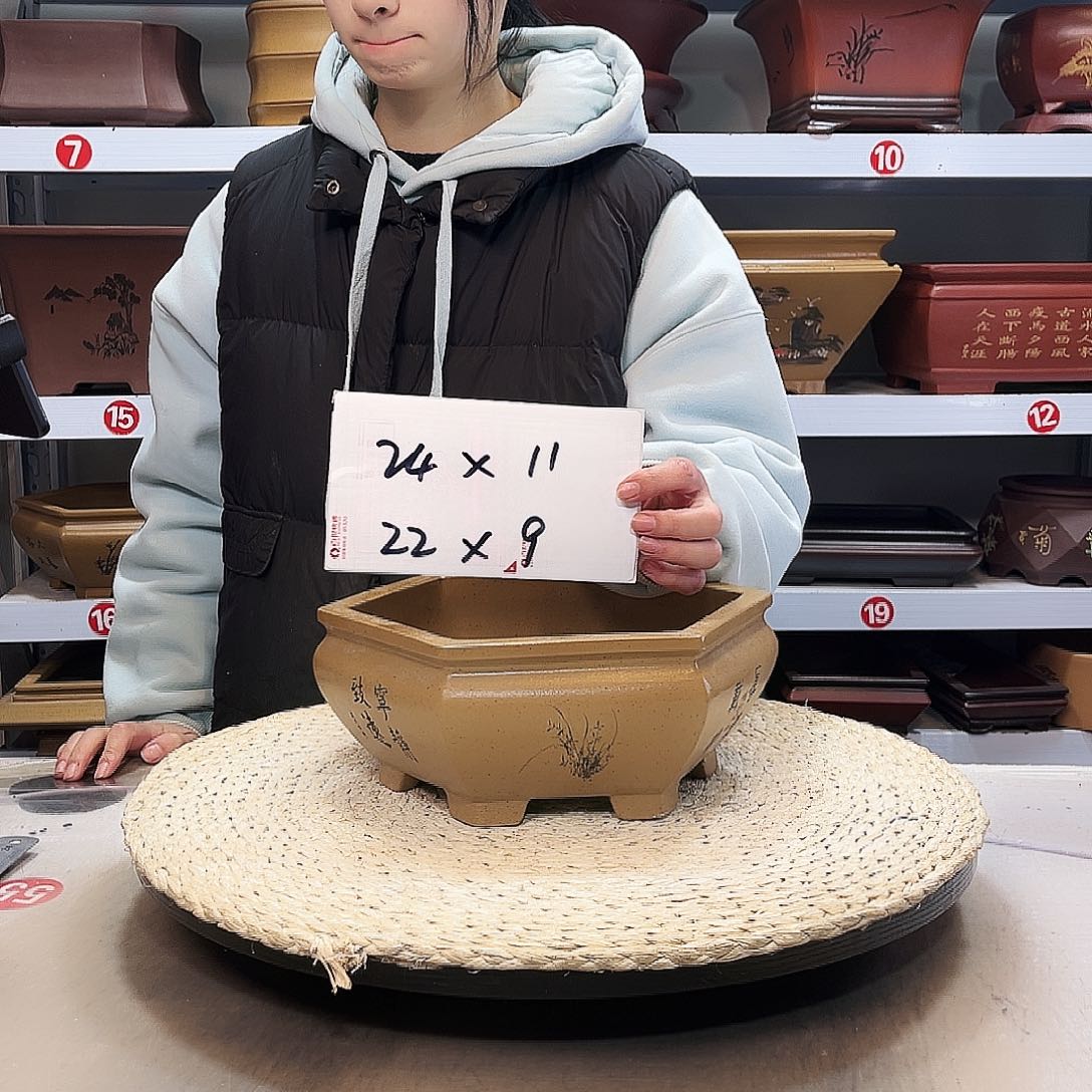 紫砂花盆紫砂花盆